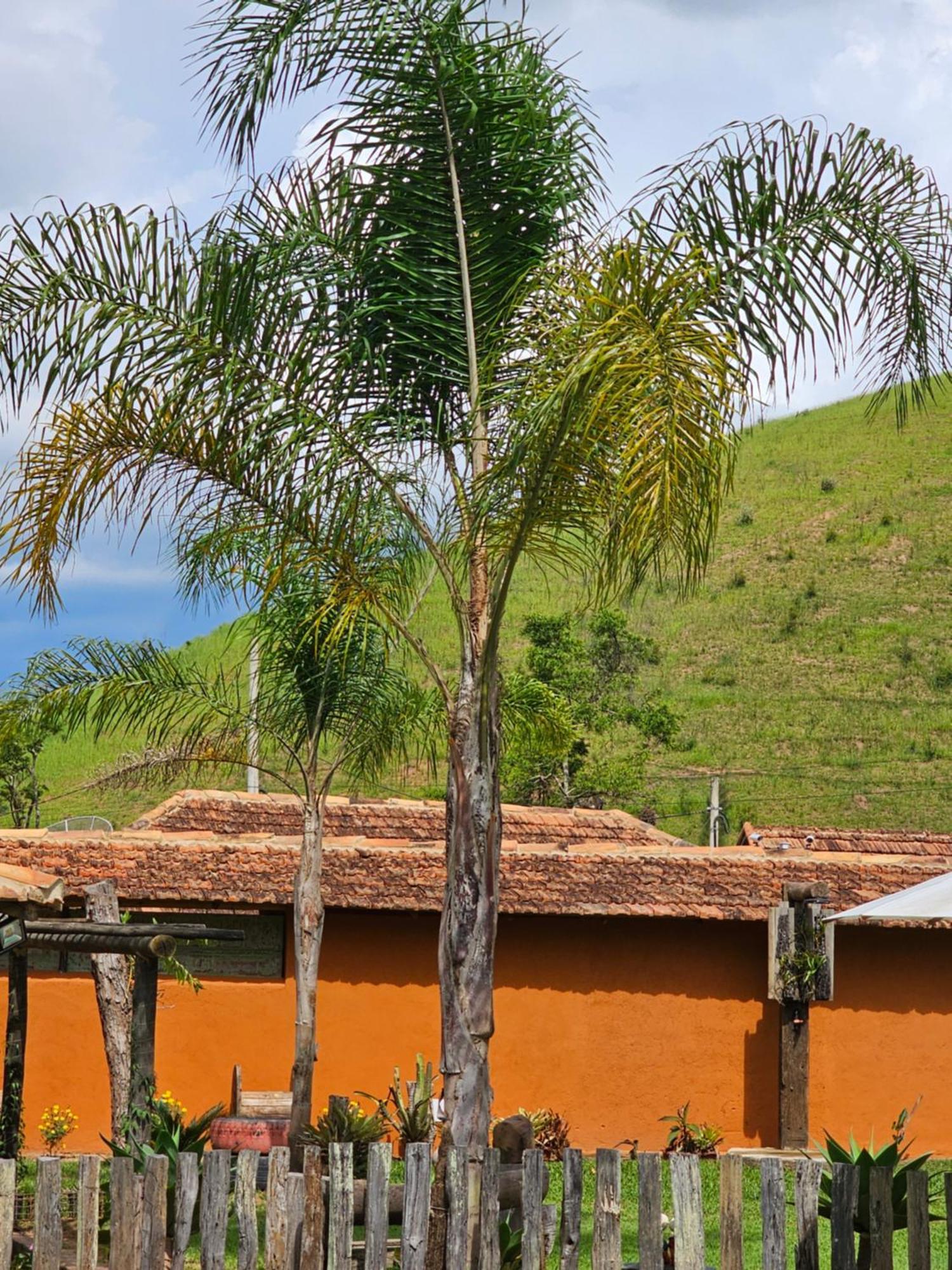 Sitio Reis Membeca Paraíba do Sul Exterior foto