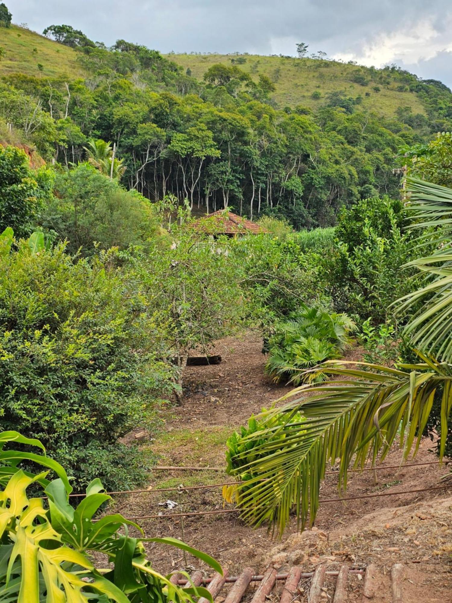 Sitio Reis Membeca Paraíba do Sul Exterior foto